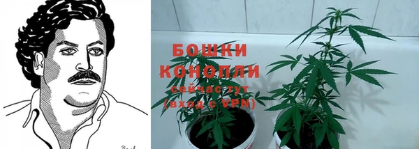 соль ск Нефтегорск
