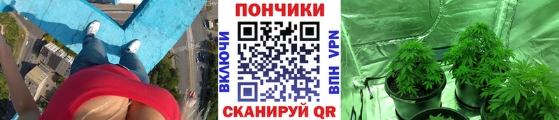 купить закладку Азнакаево МАРИХУАНА AK-47